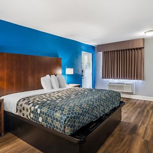 Suite mit Kingsize-Bett